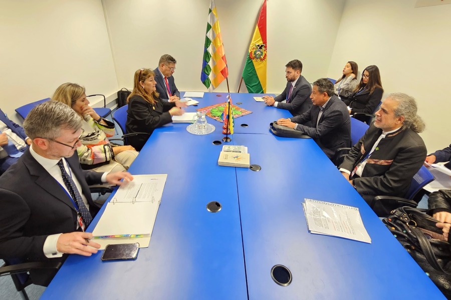 Bolivia y Colombia compartirán datos científicos para respaldar la reclasificación de la hoja coca