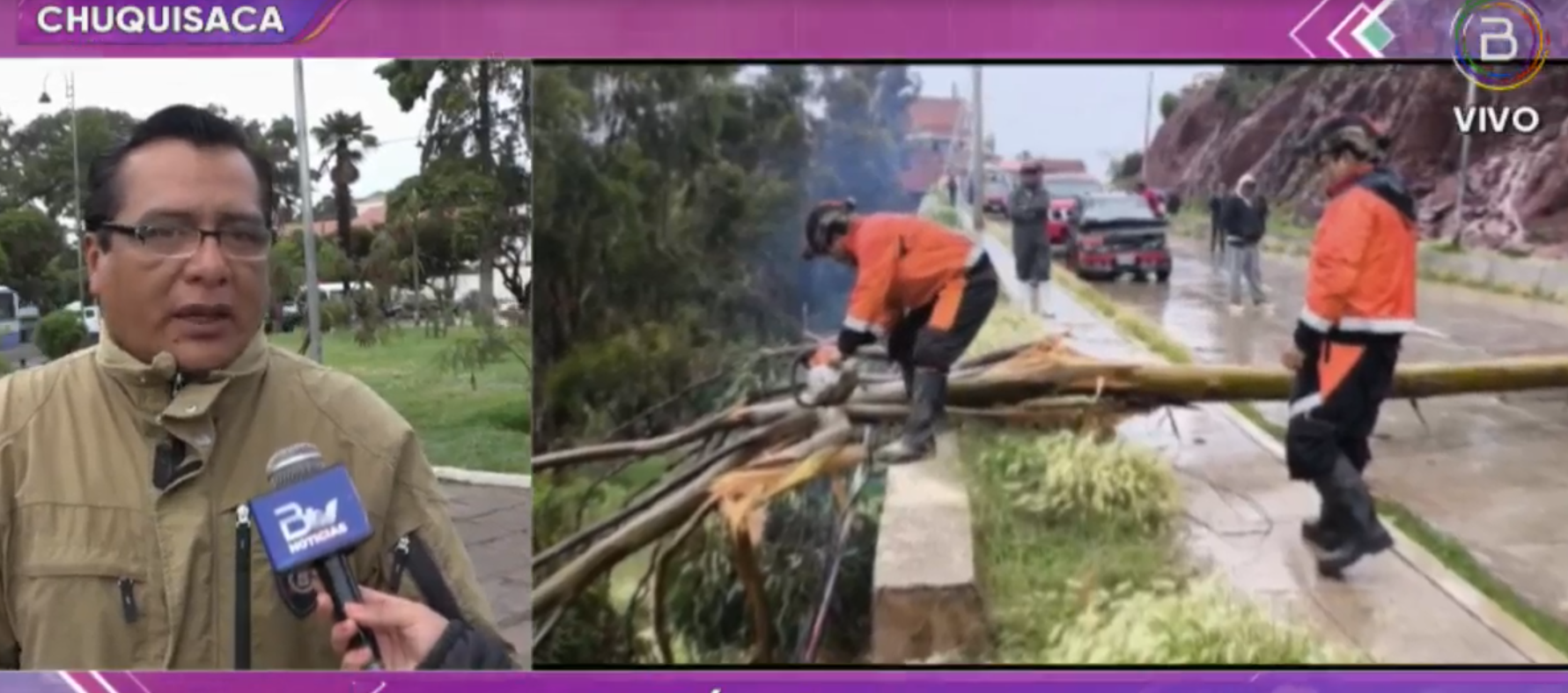 Alcaldía toma acciones ante emergencia por la caída de 7 árboles en Sucre debido a las lluvias