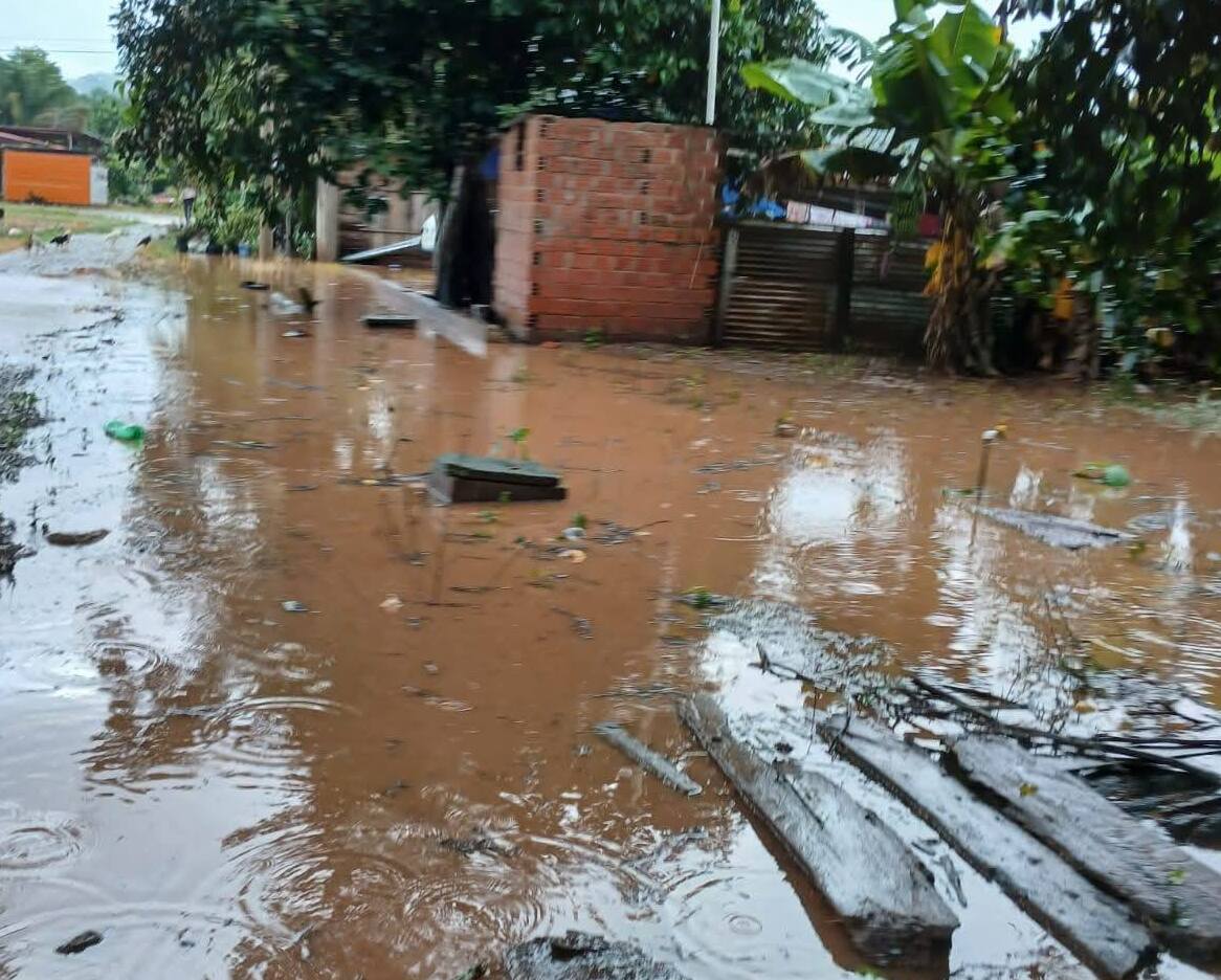 Palos Blancos alista declaratoria de desastre por lluvias, inundaciones y fuertes vientos 