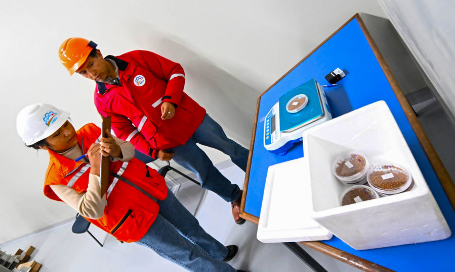 Efectúan la primera irradiación de pupas de mosca de la fruta en el Centro Multipropósito de Irradiación de El Alto