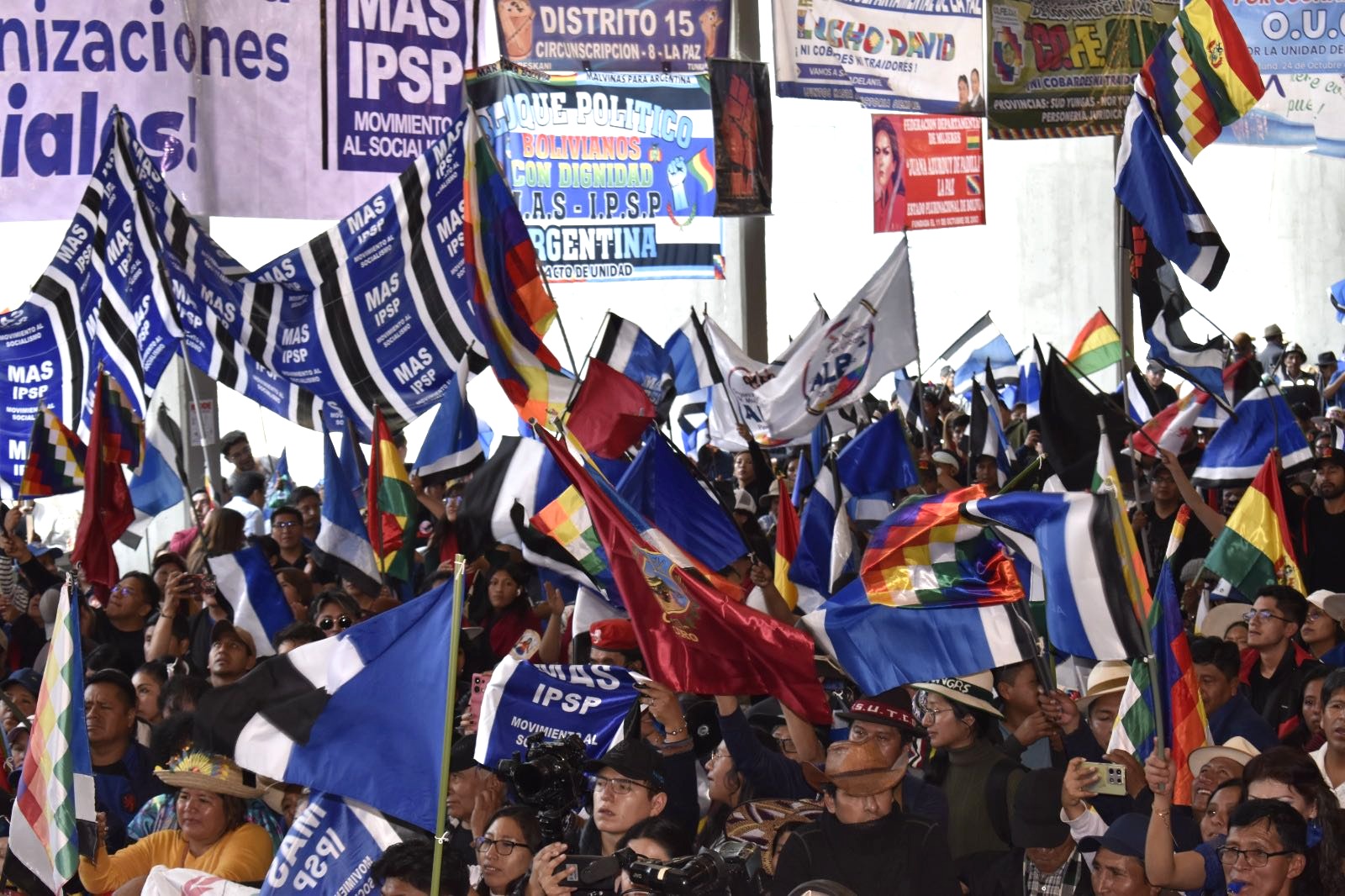 El MAS modifica su estatuto y baja los años para que los militantes postulen a cargos públicos