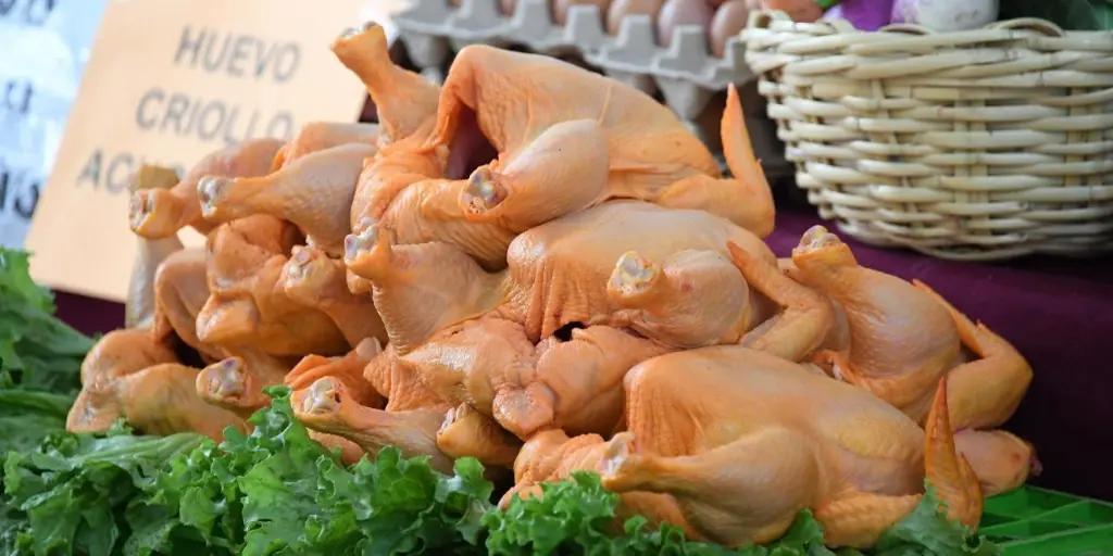Subvención de combustibles y granos deben seguir influyendo en la baja del precio de la carne de pollo