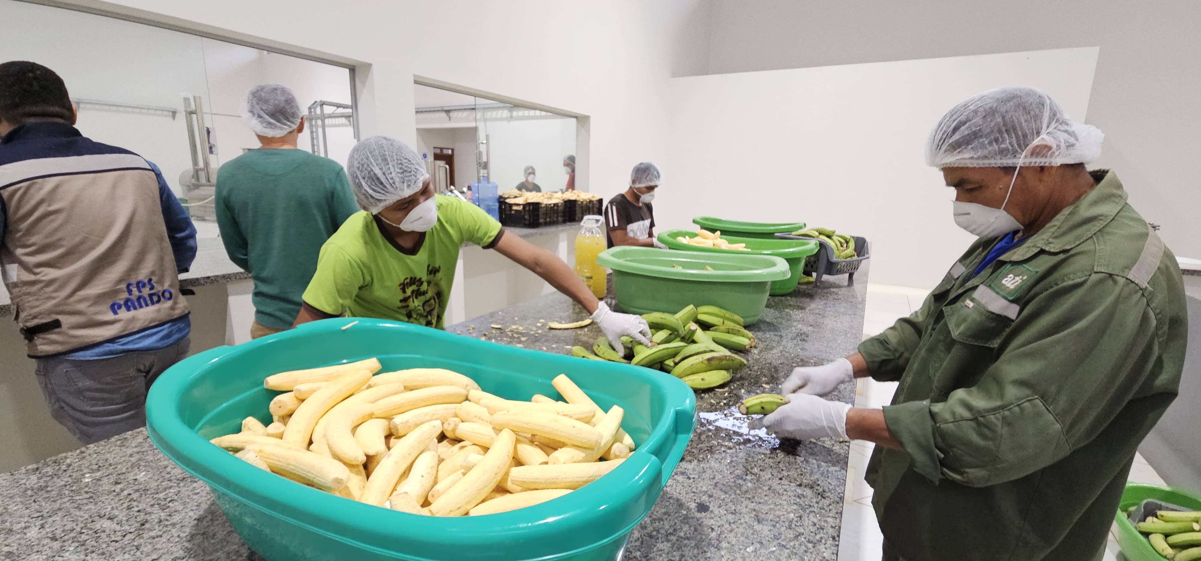 Técnicos de Pando serán capacitados sobre los procesos productivos de la nueva industria de plátano 