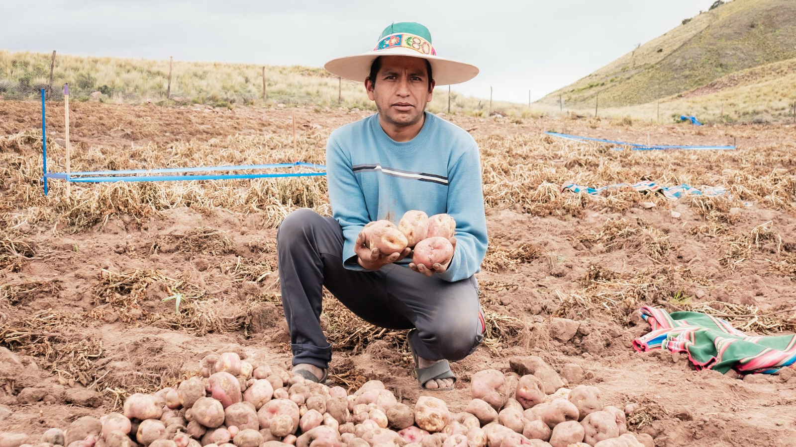 Soberanía Alimentaria entregó semillas certificadas por más de Bs 146 millones de inversión