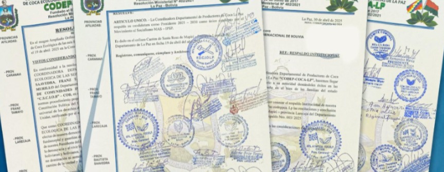 Arce convoca a la unidad ante voces que buscan generar división e incertidumbre