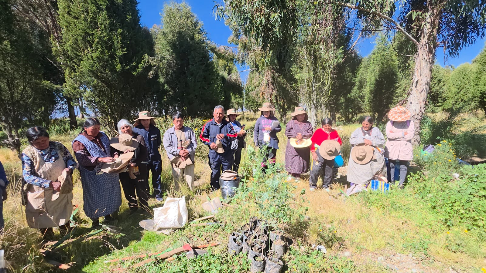 Restaurarán áreas en 19 municipios y generarán 975 empleos para mujeres en situación de vulnerabilidad