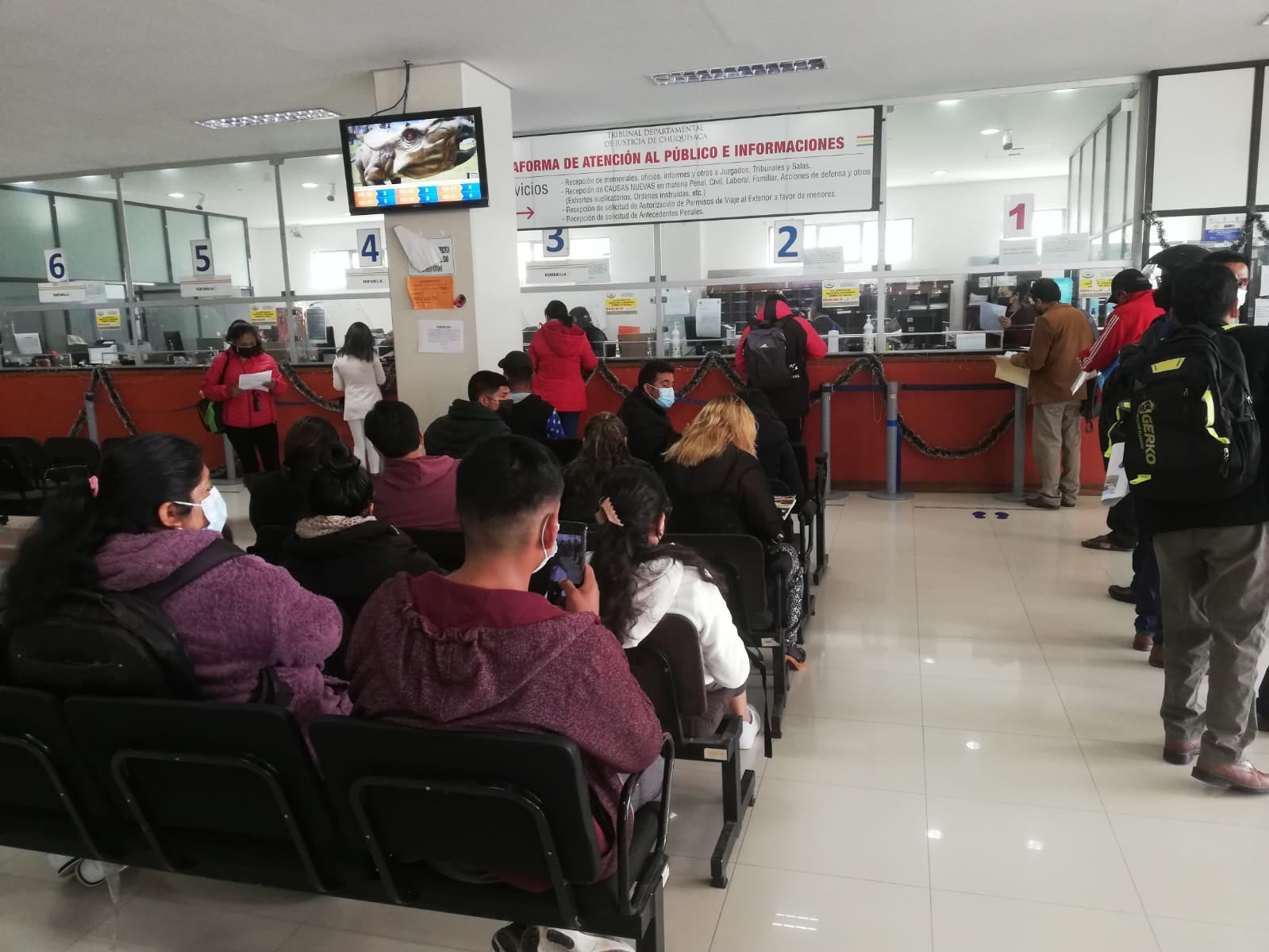 Instituciones brindarán atención especial este fin de semana para trámites de candidatos rumbo a las elecciones de agosto