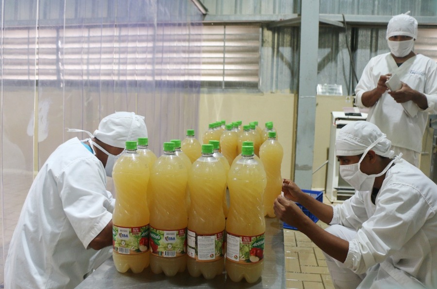 La economía del trópico se fortalece a través del procesamiento de frutas