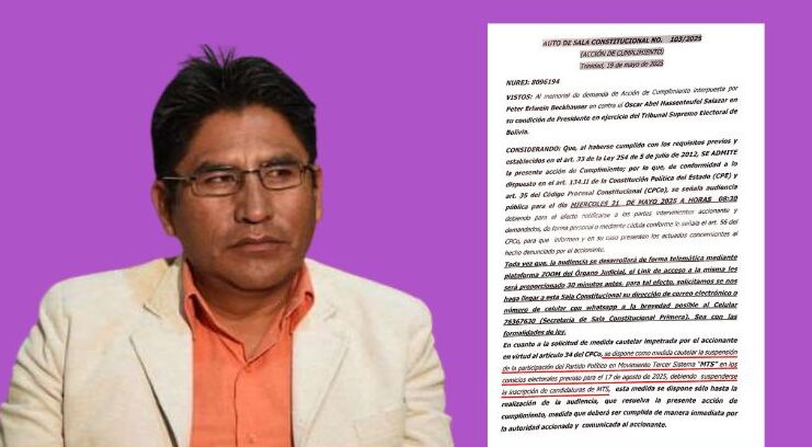 Salas Constitucionales de La Paz y Beni instruyen al TSE suspender inscripción de candidatos del MTS