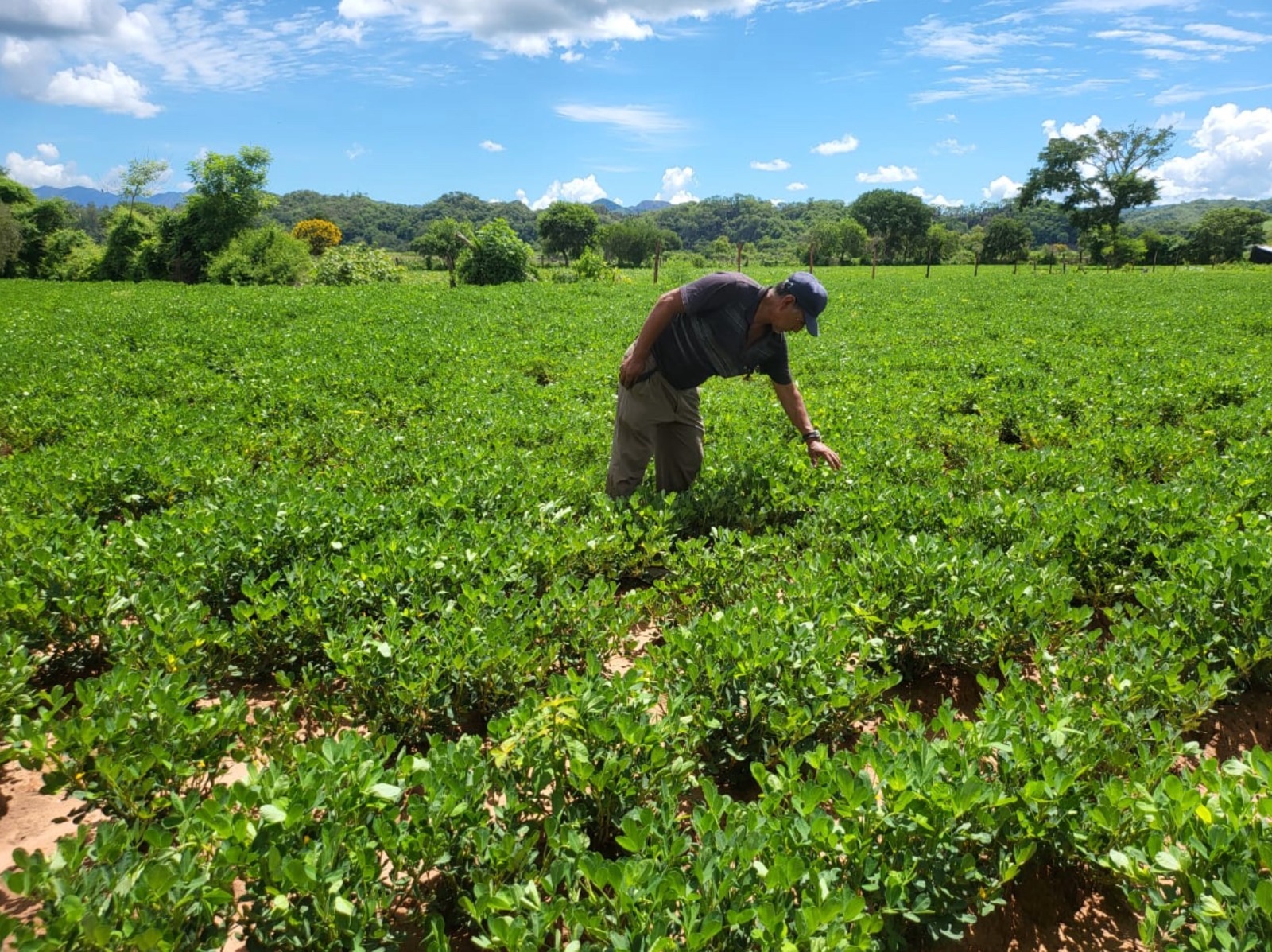 BDP – SAM impulsa el desarrollo y la inclusión de más de 28.800 productores en Chuquisaca