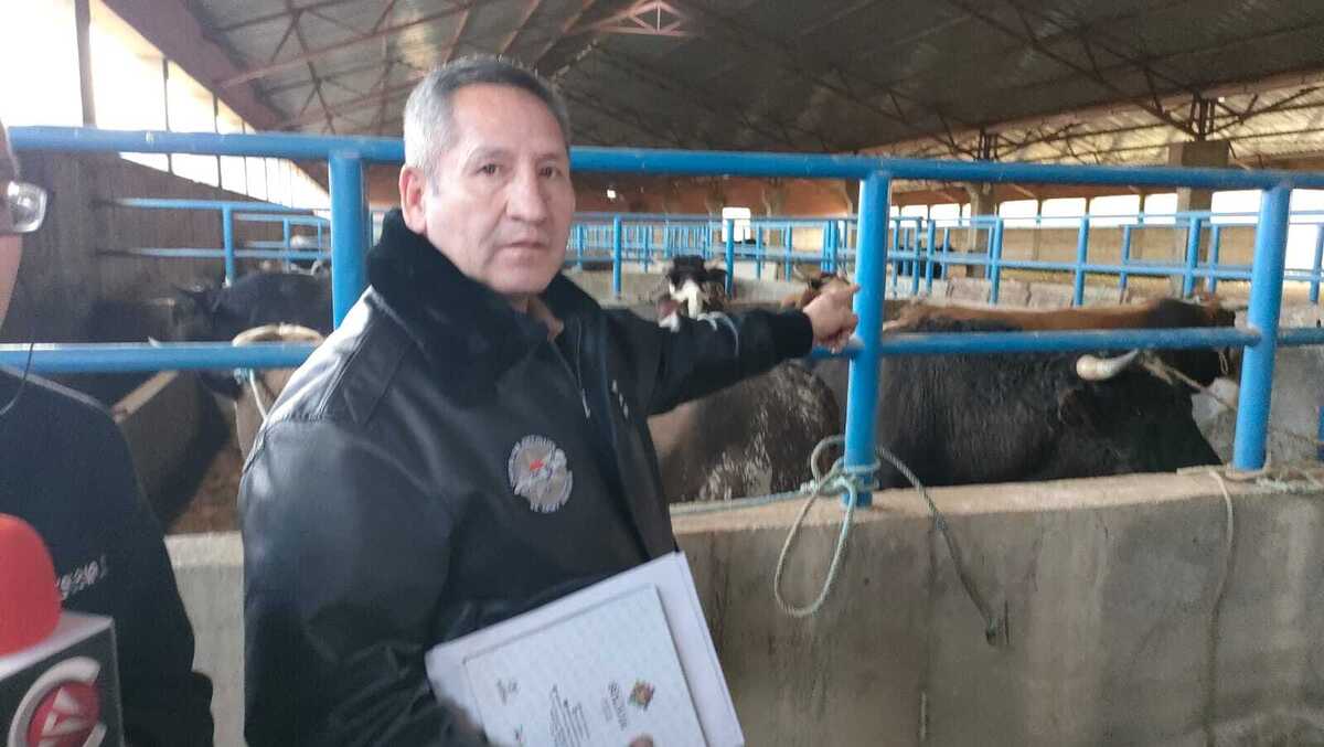 En las fronteras se incautó mercadería de contrabando por más de Bs 49 millones