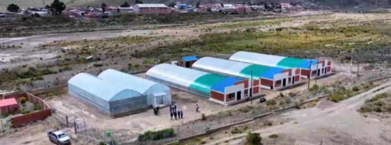 En una región minera de Oruro se produce tomate, lechuga y forraje para el ganado