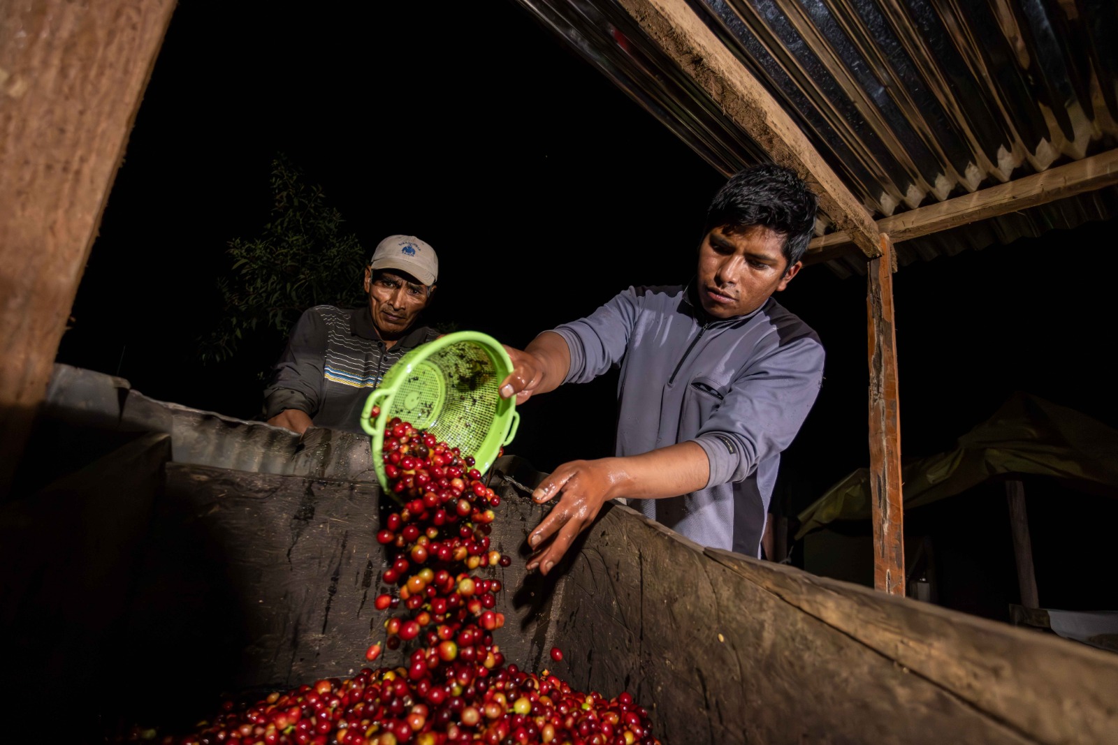 Presentan “Impacta”, programa insignia de acción climática con enfoque social transformador