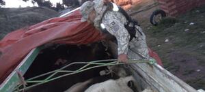 Militares incautan en riberas del Lago Titicaca alimentos por un valor de Bs 152.000 con destino a Perú