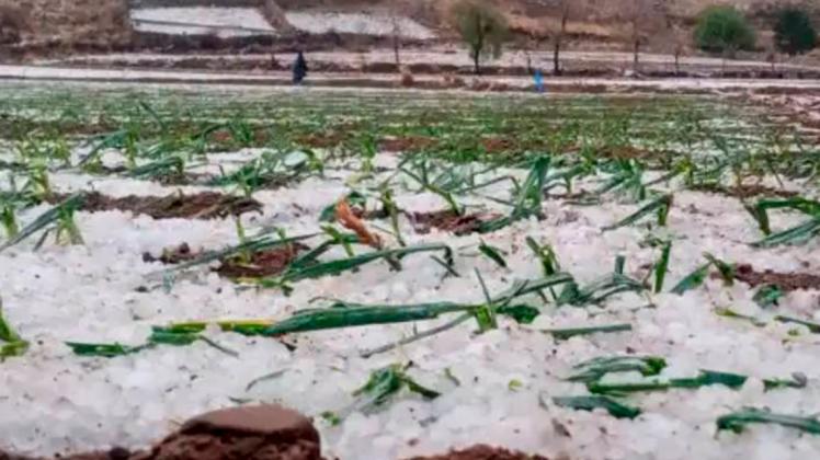 Bajas temperaturas con heladas y granizadas afectan a 123 municipios 