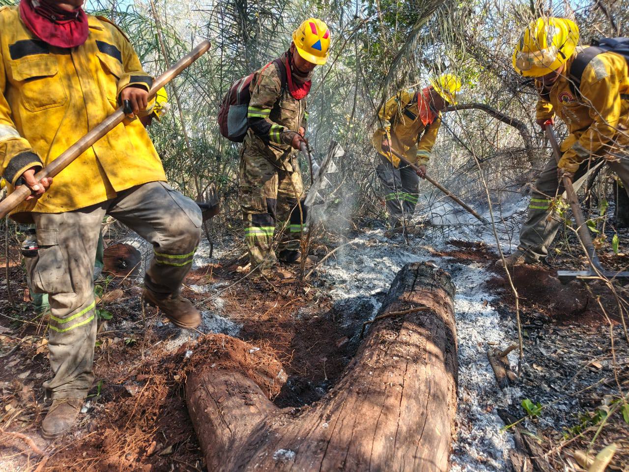 Defensa exige investigar y sancionar a responsables de incendios provocados en Cochabamba