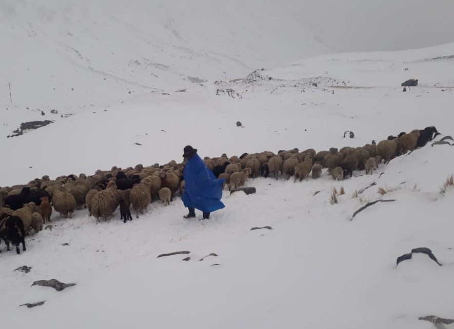 Senamhi pronostica nevadas en el altiplano de La Paz, Cochabamba y Tarija