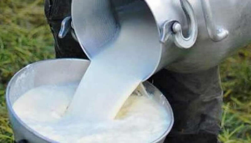 Proyecto Leche para Crecer perfila fortalecer la producción primaria lechera y aumentar el consumo 