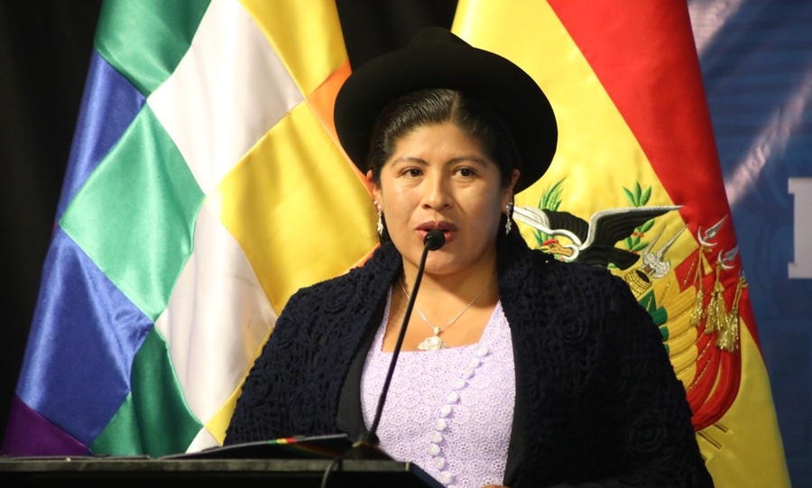 Ministra de Culturas ratifica compromiso del Gobierno con el voto y una transición constitucional