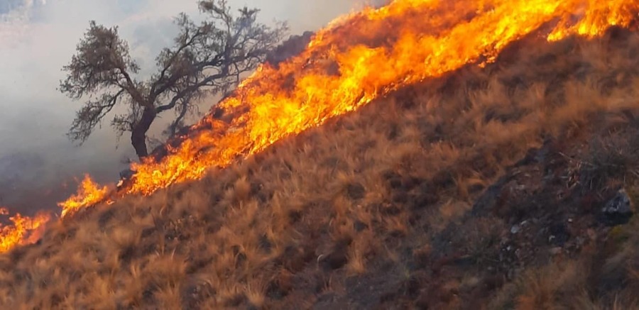 Bolivia lanza “Guía Jurídica” pionera para la reparación del daño ambiental por incendios forestales