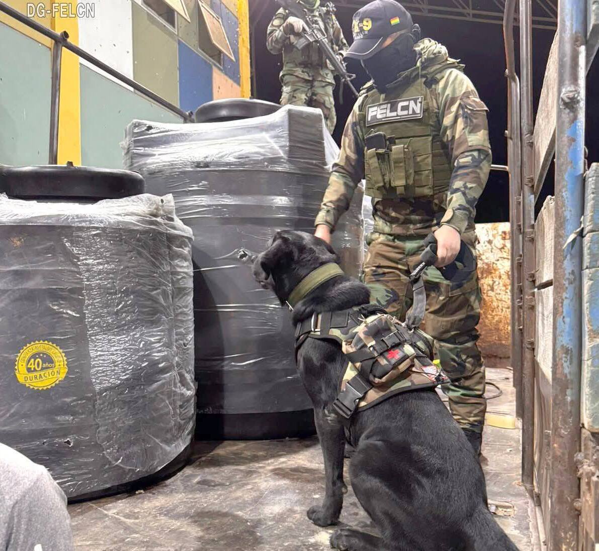 Can “Vitto” detecta marihuana oculta en tanques de plástico durante operativo antinarcóticos Santa Cruz, 18 de octubre de 2025 (ABI).- Un operativo de la Fuerza Especial de Lucha Contra el Narcotráfico (FELCN) permitió la intercepción de un vehículo de transporte público que trasladaba sustancias controladas ocultas en tanques de plástico negro. La detección fue posible gracias al trabajo del can antidrogas “Vitto”, que alertó sobre la presencia del estupefaciente durante la revisión del motorizado. “Nuestro personal interceptó un vehículo de transporte público con destino a la ciudad de Santa Cruz. Durante la revisión, el ejemplar canino Vitto dio una alerta positiva ante la presencia de sustancias controladas en tanques de plástico de color negro”, informó la fuerza antidroga mediante sus redes sociales. Según el informe oficial, el operativo se desarrolló cuando el vehículo se dirigía con destino a la ciudad de Santa Cruz. Durante la inspección, el ejemplar canino dio una alerta positiva ante los recipientes sospechosos, lo que motivó al personal a realizar la apertura de los mismos. En el interior se hallaron varias bolsas de yute con una sustancia verdusca, que tras la prueba de campo dio resultado positivo para marihuana. “Ante la flagrancia del hecho, se procedió con la aprehensión de las personas implicadas, a quienes se les leyeron sus derechos y garantías constitucionales”, detalló la FELCN.