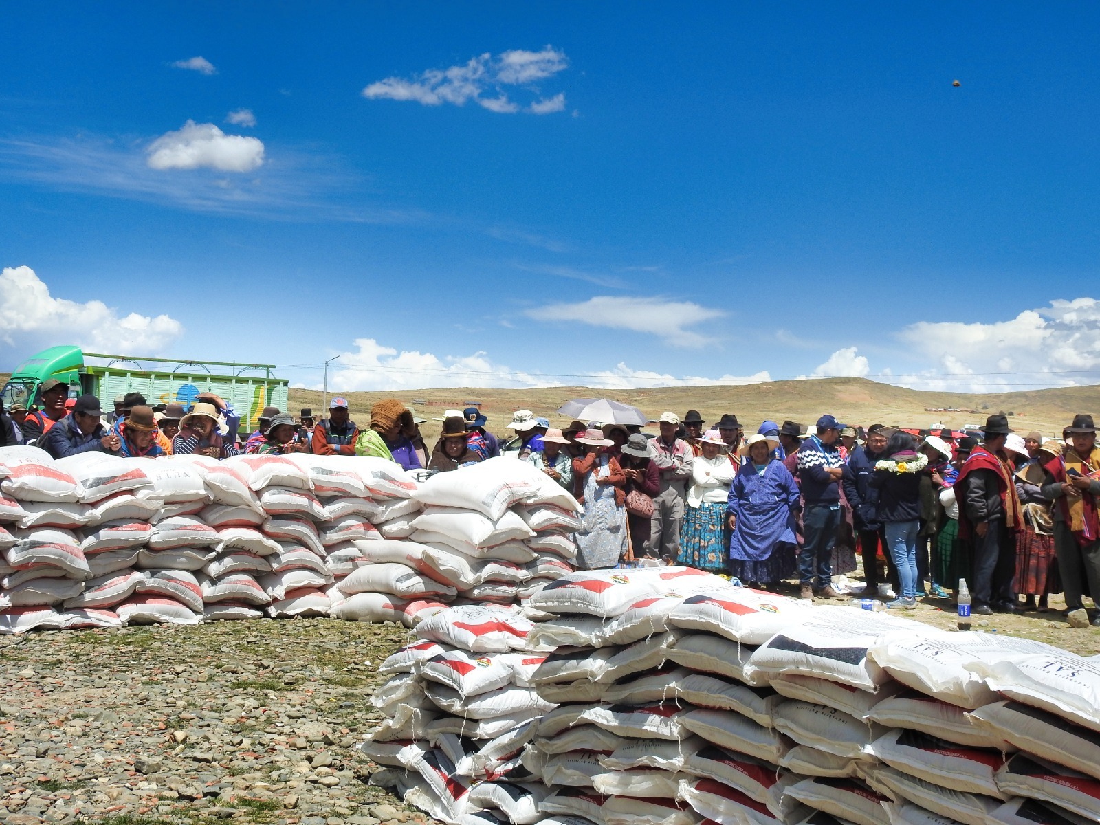 Desarrollo Rural inyecta Bs 4,6 millones para el engorde de ganado bovino en Laja 