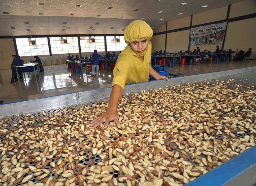 Bolivia generó $us 327,8 millones por la exportación de más de 173.000 toneladas de alimentos 