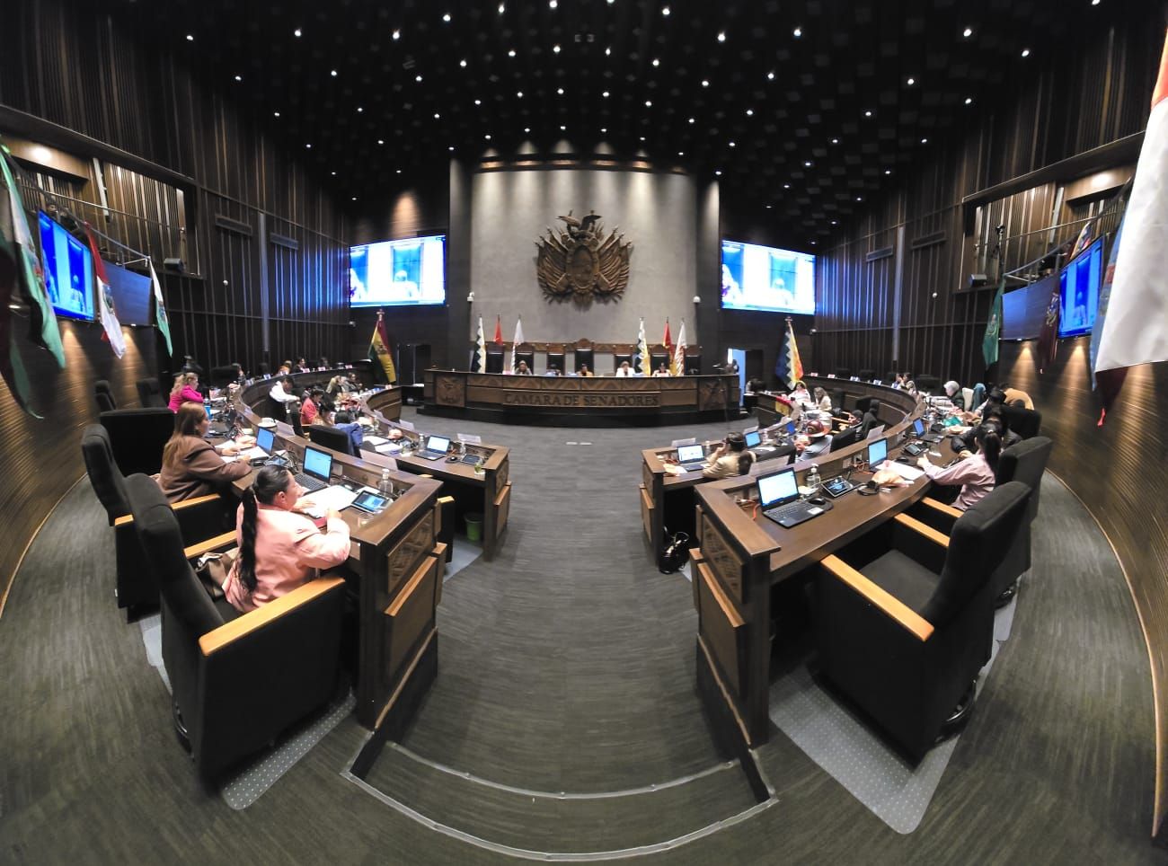 Senado corrige error procedimental y devuelve proyecto de ley de diferimiento de créditos a Diputados