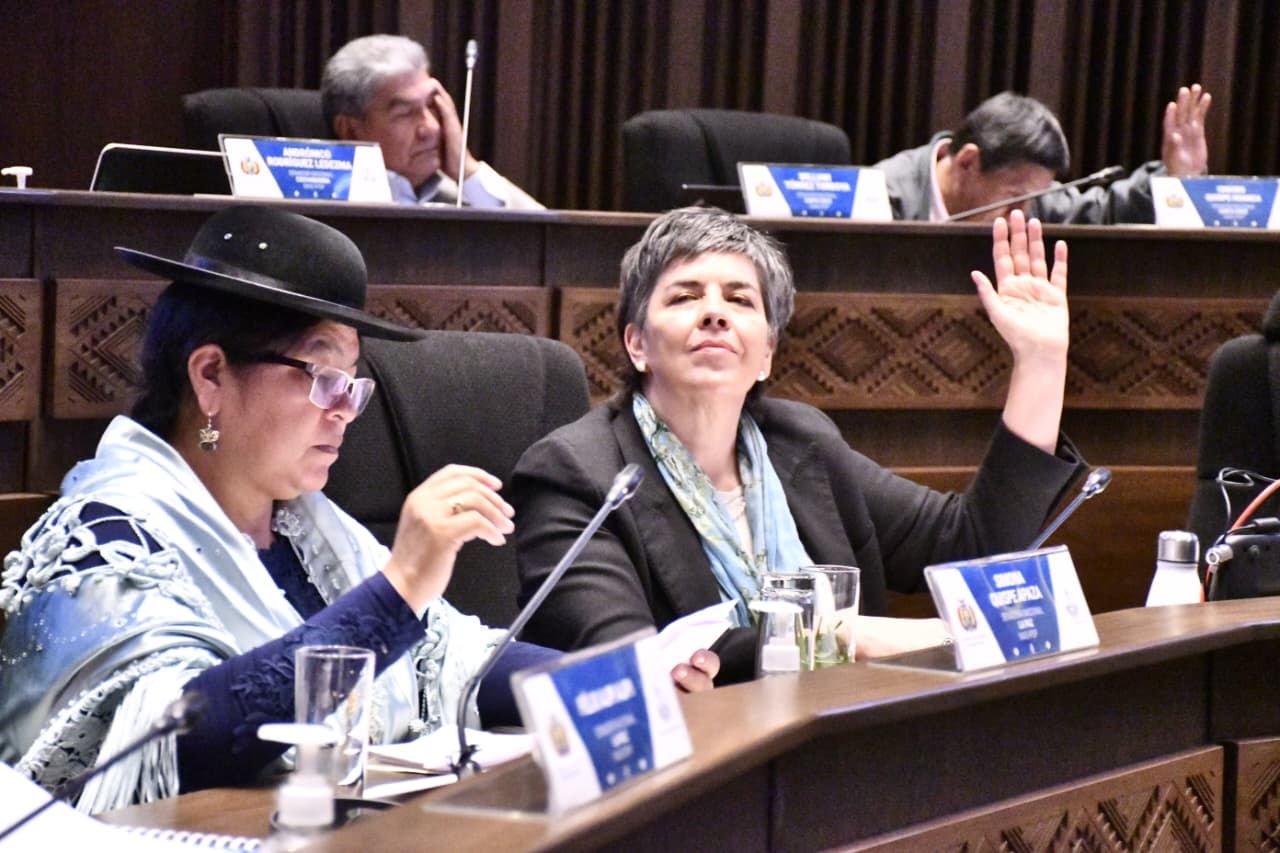 En tiempo récord, Senado sanciona cinco créditos por más de $us 450 millones