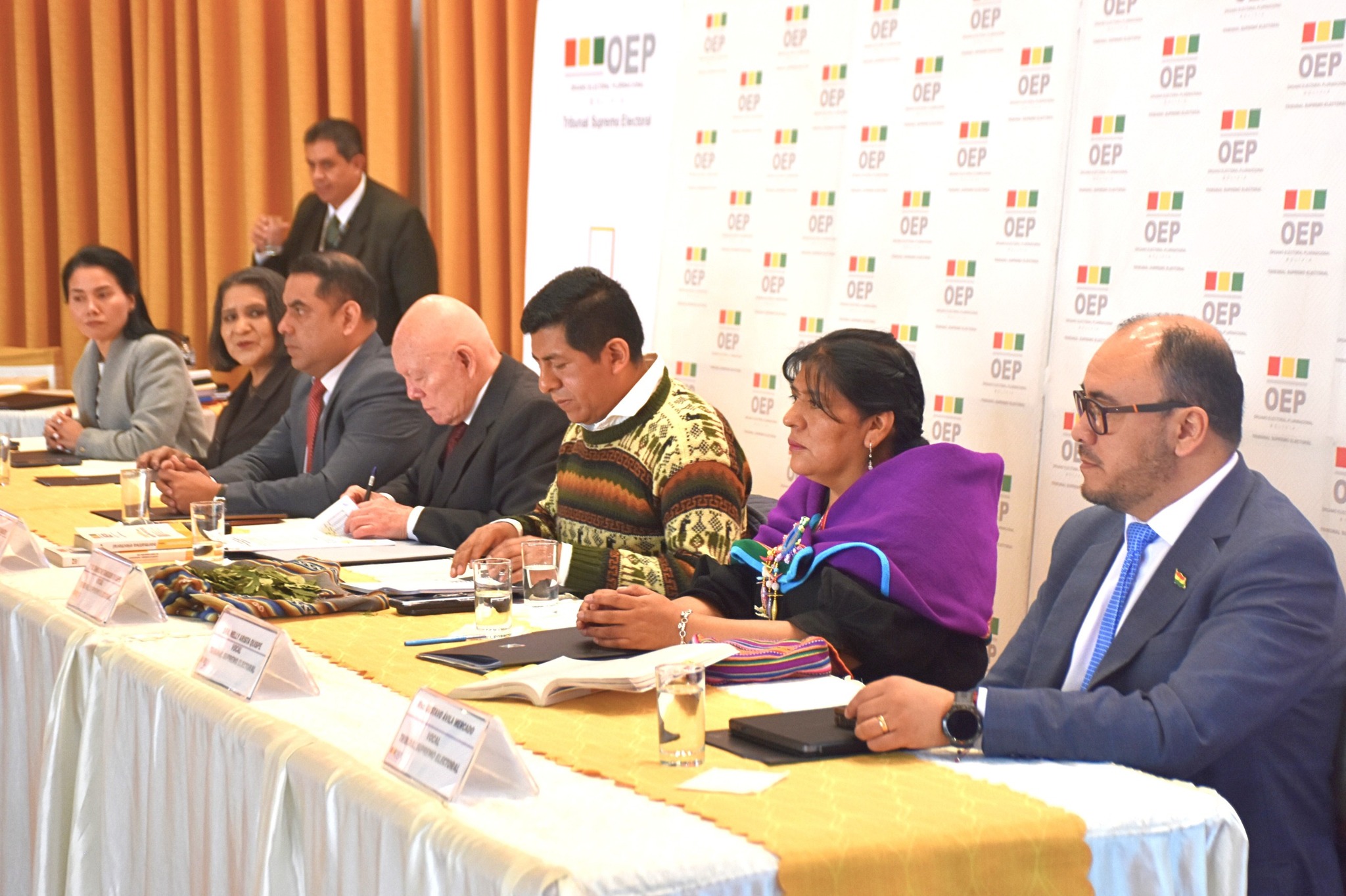 Hassenteufel insta a la Asamblea designar a los vocales del TSE lo más pronto posible