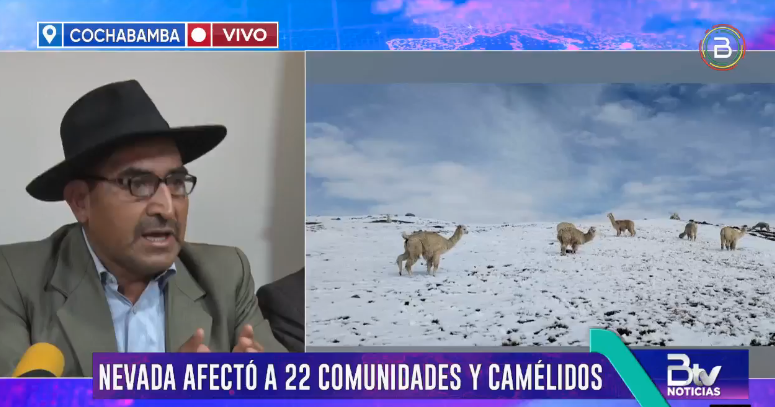 Cocapata se declara en desastre por nevada que dejó más de 600 familias afectadas y 8.000 animales en riesgo