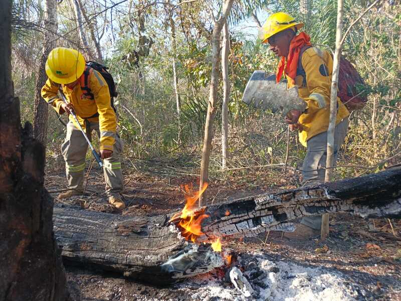 Las Fuerzas Armadas sofocan 86 incendios y movilizan a más de 1.700 efectivos en el país
