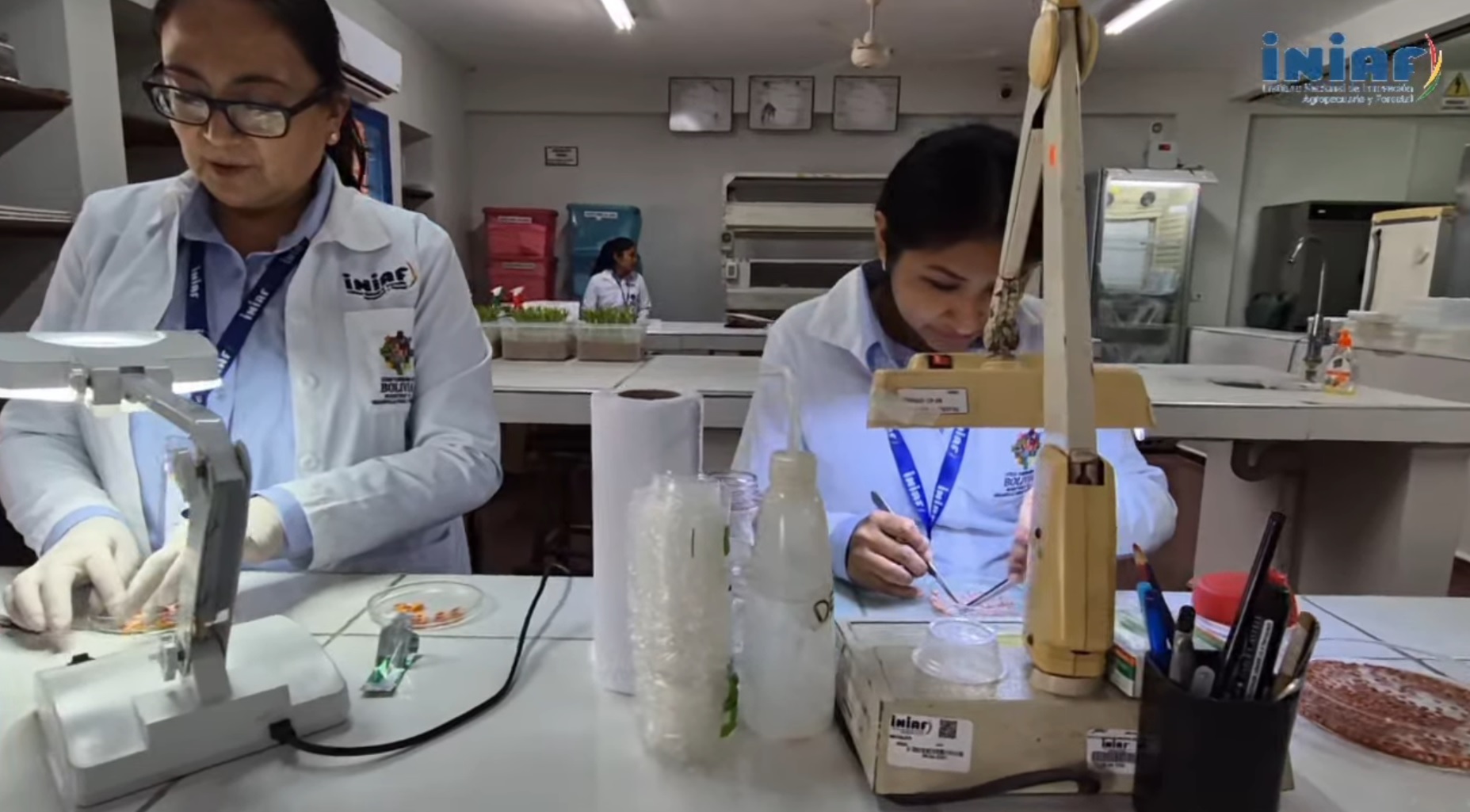 Auditora internacional ratifica acreditación del laboratorio del INIAF para avalar exportación de semillas