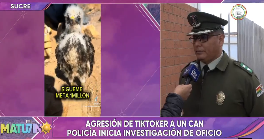 Pofoma investiga a tiktoker por crueldad animal y manipulación de fauna silvestre