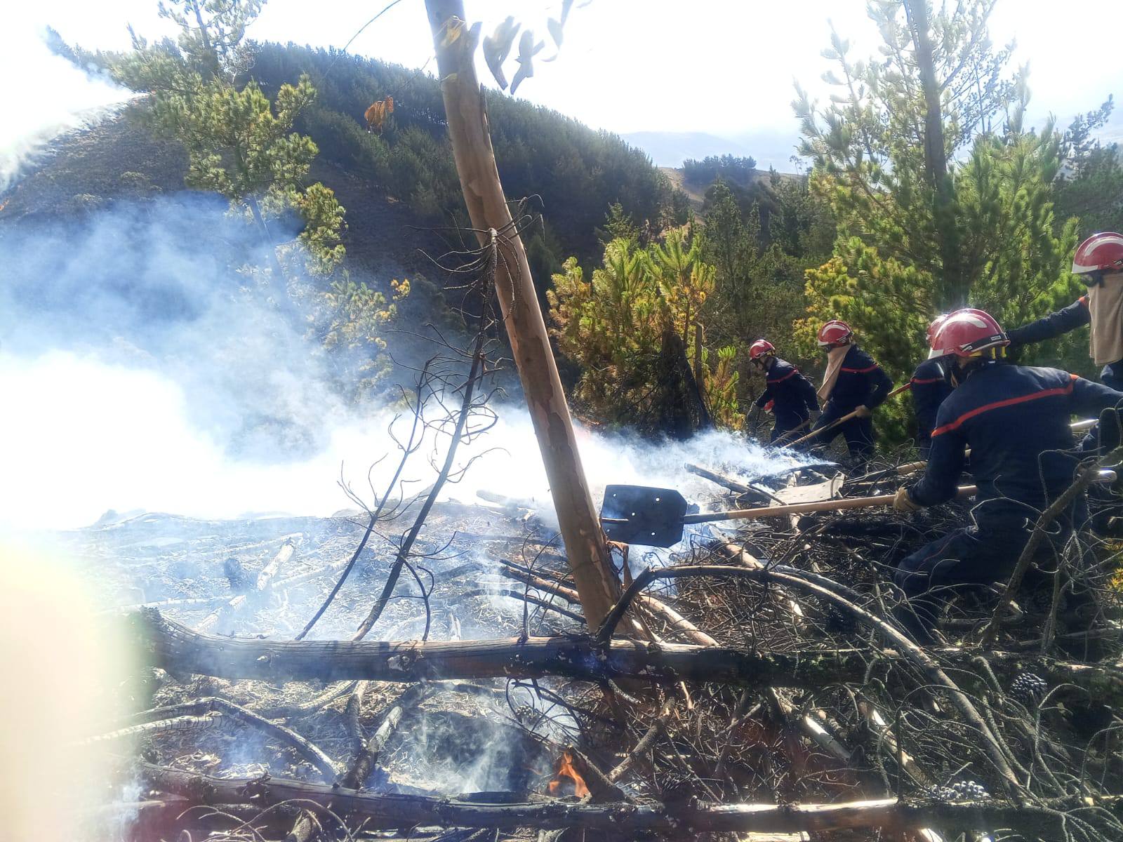 Gobierno reporta siete incendios activos y refuerza despliegue de bomberos forestales
