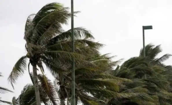 Senamhi emite alerta naranja por vientos de hasta 90 km/h en cuatro departamentos 