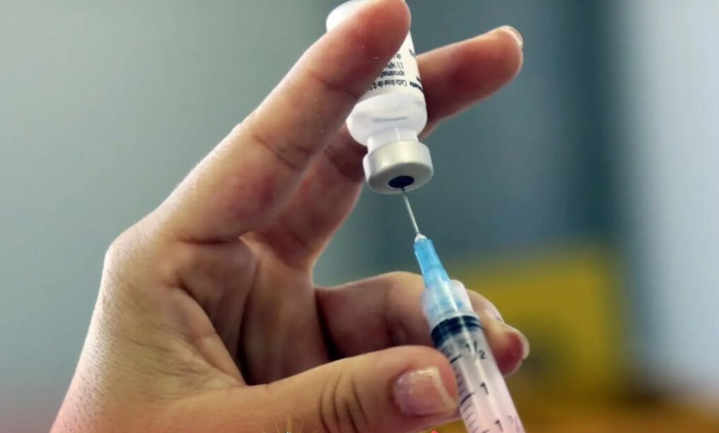 Descubren monos con fiebre amarilla en Coroico, el virus avanza hacia áreas urbanas