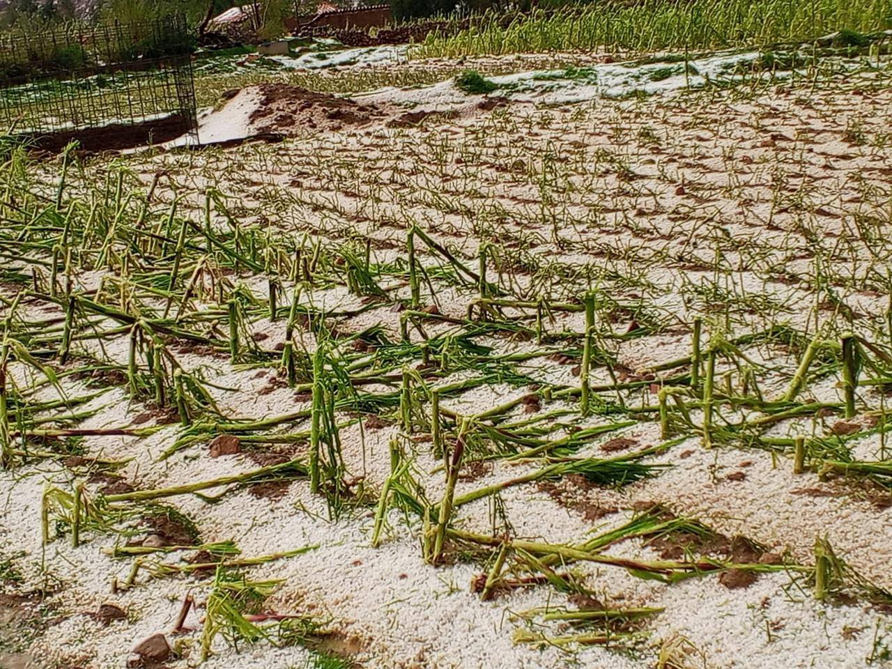 Intensa granizada y fuertes vientos golpean Potolo y afectan a más de 800 familias