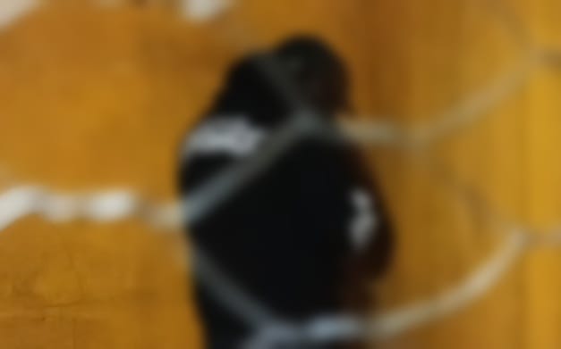 Envían a la cárcel de Chonchocoro a un hombre acusado de matar a su madre en Oruro