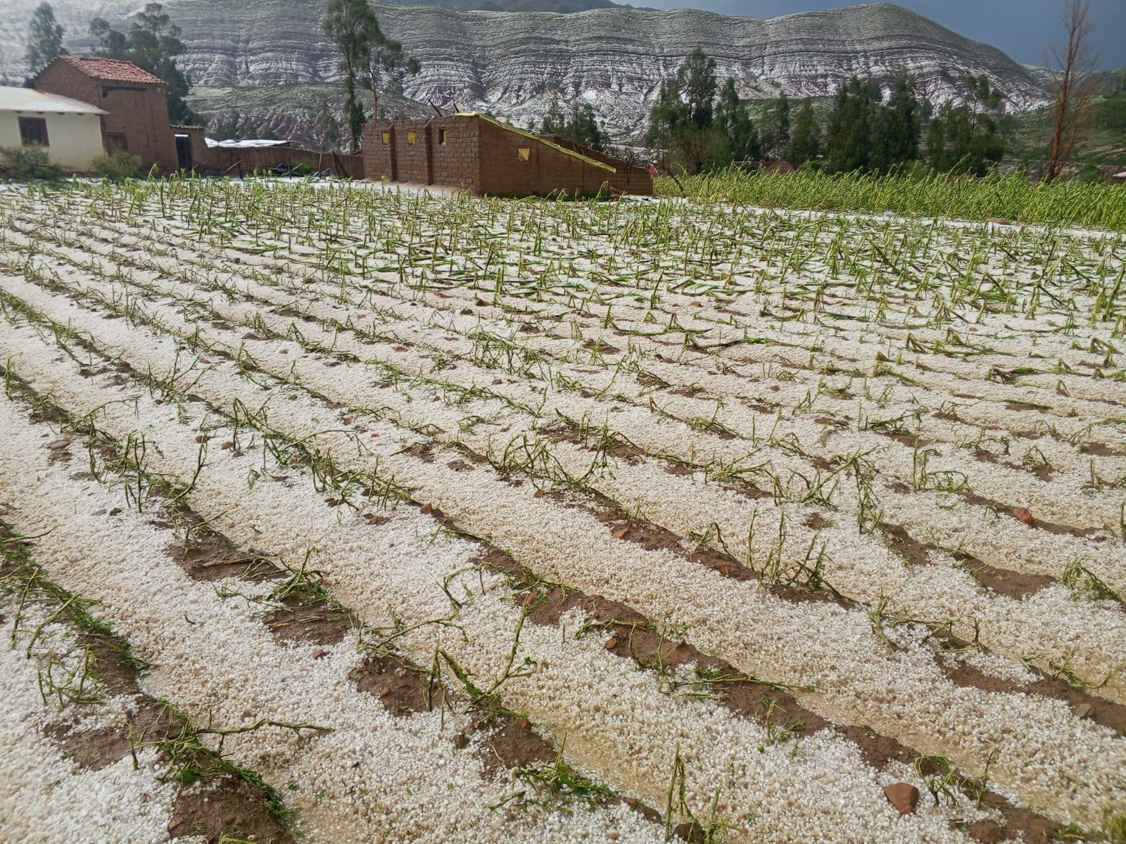 Lluvias en Bolivia: 28 municipios se declaran en desastre y las familias damnificadas suman 95.000