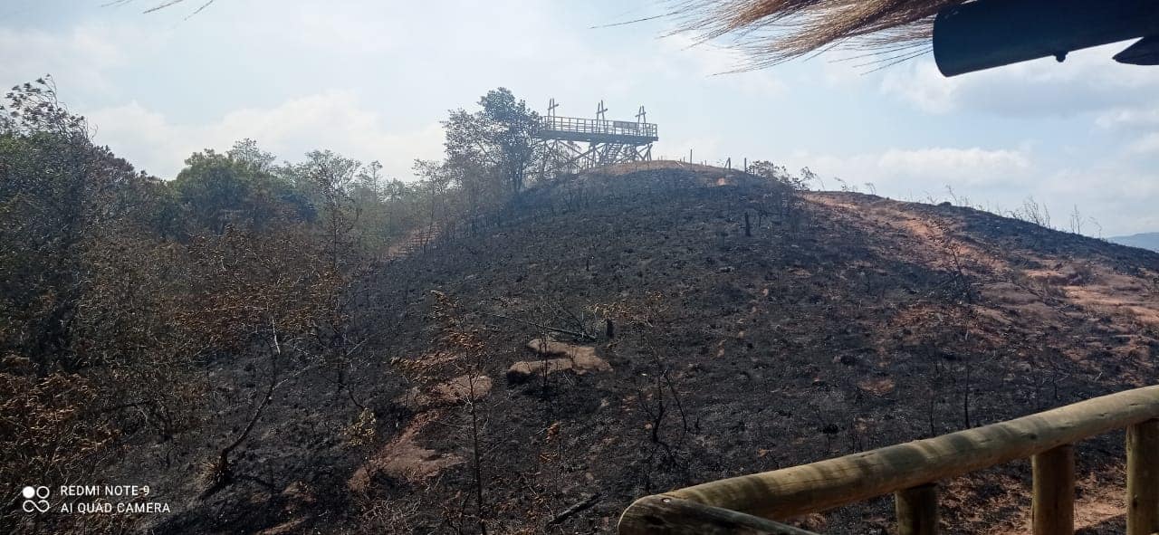 Culturas: el fuego afectó el 70% del entorno vegetal del Fuerte de Samaipata