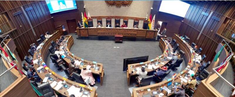 Senado descarta para este año reforma constitucional en el ámbito judicial