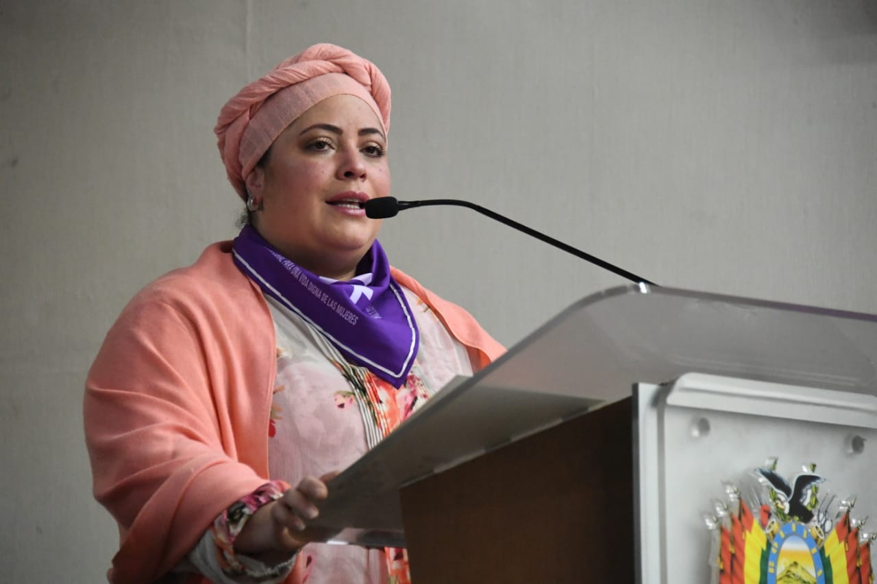 Ministra Prada: El Comité Cívico Pro Santa Cruz no logra hablar a nombre de la pluralidad