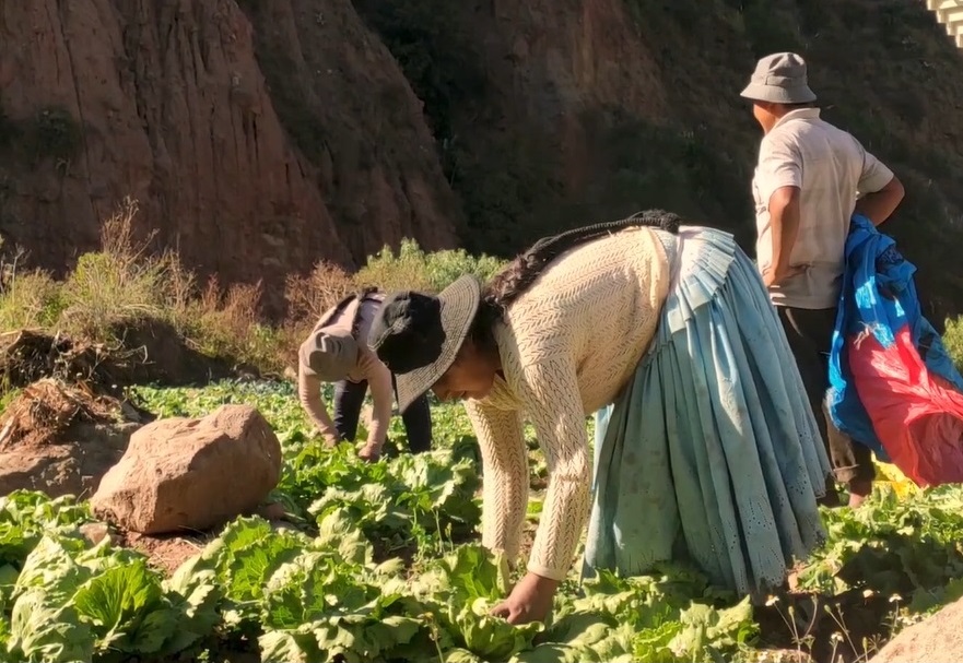 El BDP financió a 52.215 micro y pequeñas empresas y generó 521.688 empleos