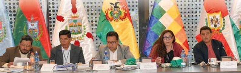 Elecciones Judiciales: Comisión Mixta de Constitución analizará propuestas de reglamento de partidos, sociedad civil y organizaciones sociales