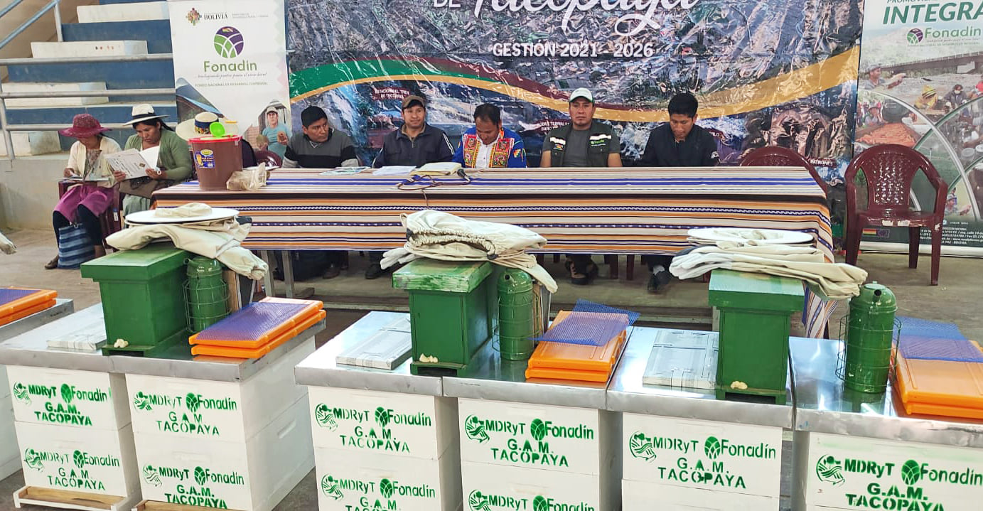 Gobierno promueve la producción de miel en la región andina de Cochabamba