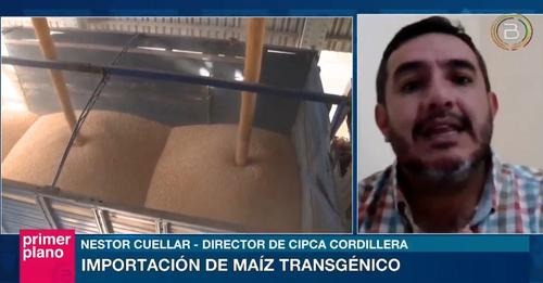 CIPCA: El uso de eventos transgénicos generará una dependencia de transnacionales