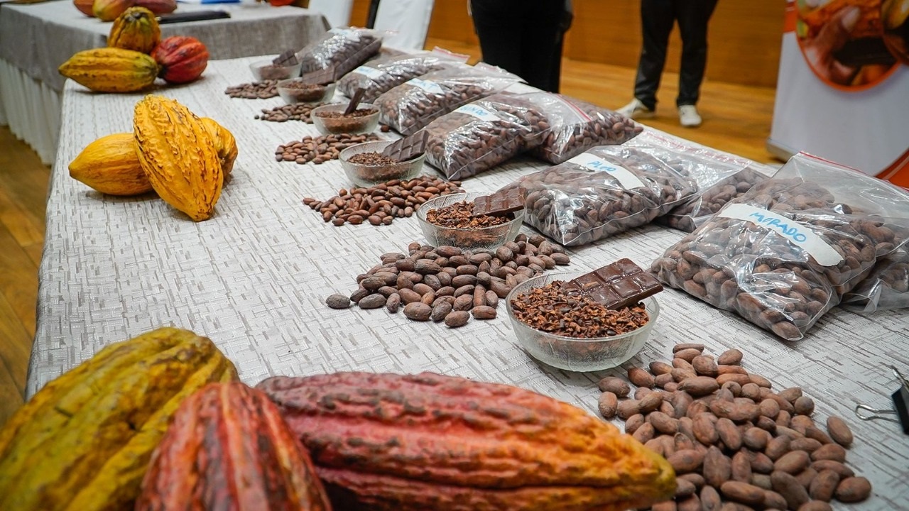 Gobierno premia a las mejores seis muestras del concurso “Salón del Cacao y Chocolate Bolivia 2022”