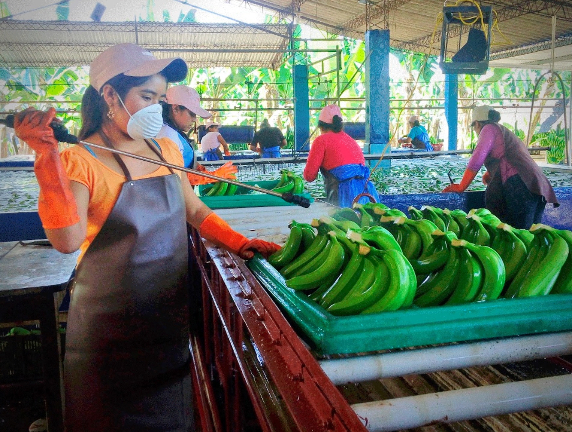 IBCE: Bolivia obtuvo $us 21.000 millones por exportaciones de alimentos entre 2006 y 2021