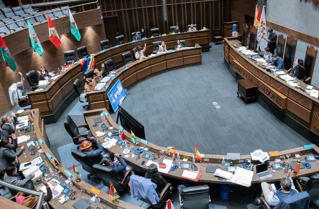 Senado sanciona proyecto de ley que garantiza derechos de gremiales y acceso a créditos productivos